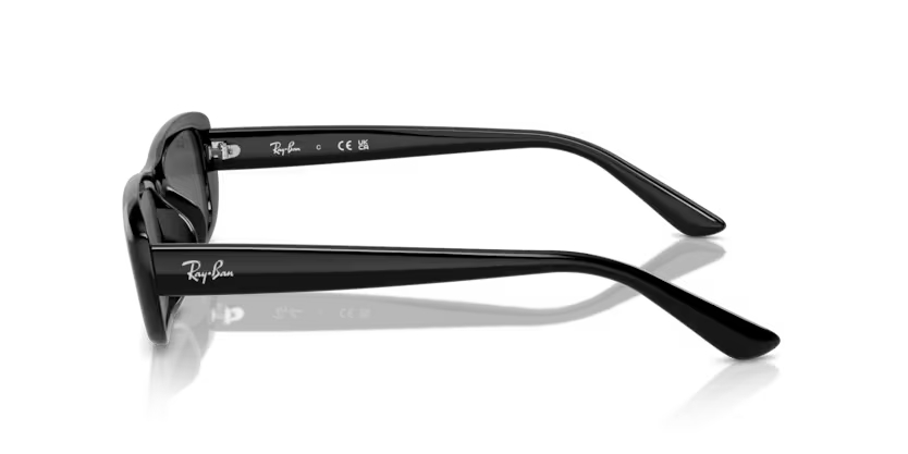 RAY-BANRAYBAN RB 4436D 667787 55 GRAY-BAN RB 4436D 667787 55 Unisex Güneş GözlüğüRAY-BAN RB 4436D 667787 55 Unisex Güneş Gözlüğü