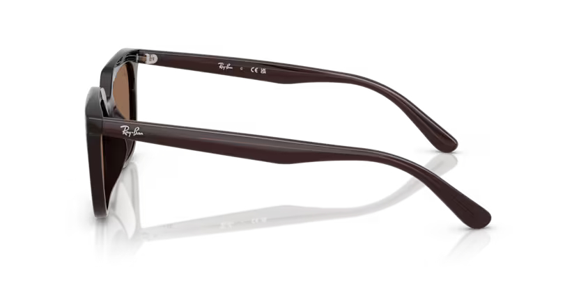 RAY-BANRAYBAN RB 4439D 623173 54 GRAY-BAN RB 4439D 623173 54 Unisex Güneş GözlüğüRAY-BAN RB 4439D 623173 54 Unisex Güneş Gözlüğü