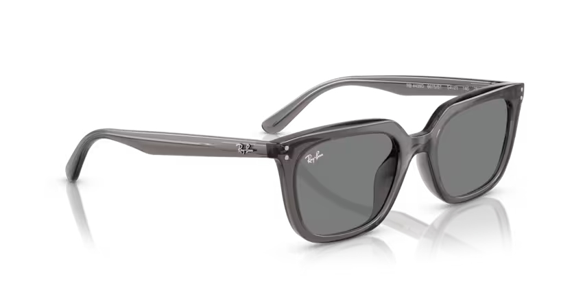RAY-BANRAYBAN RB 4439D 667587 54 GRAY-BAN RB 4439D 667587 54 Unisex Güneş GözlüğüRAY-BAN RB 4439D 667587 54 Unisex Güneş Gözlüğü