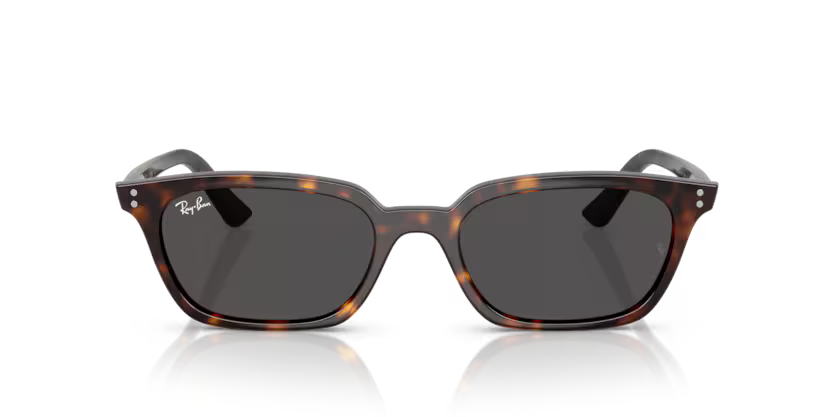 RAY-BANRAYBAN RB 4456 135987 50 GRAY-BAN RB 4456 135987 50 Unisex Güneş GözlüğüRAY-BAN RB 4456 135987 50 Unisex Güneş Gözlüğü
