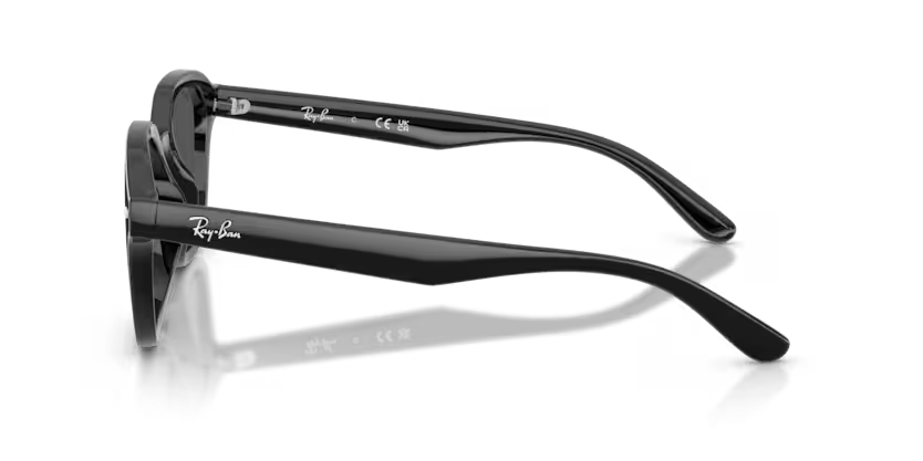 RAY-BANRAYBAN RB 4458D 601/87 65 GRAY-BAN RB 4458D 601/87 65 Unisex Güneş GözlüğüRAY-BAN RB 4458D 601/87 65 Unisex Güneş Gözlüğü