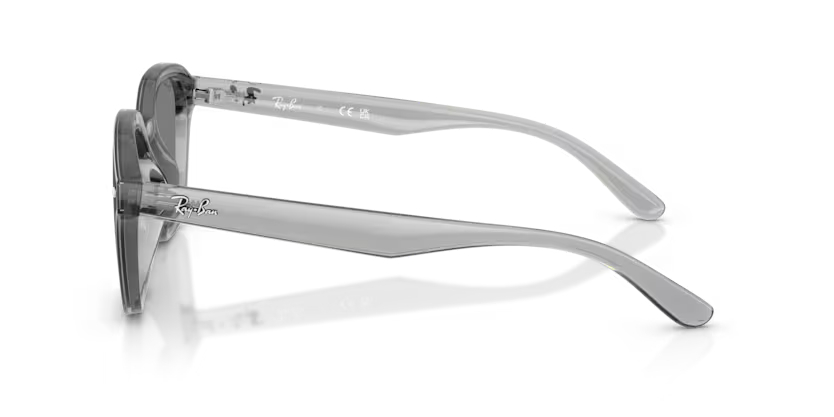 RAY-BANRAYBAN RB 4458D 645087 65 GRAY-BAN RB 4458D 645087 65 Unisex Güneş GözlüğüRAY-BAN RB 4458D 645087 65 Unisex Güneş Gözlüğü