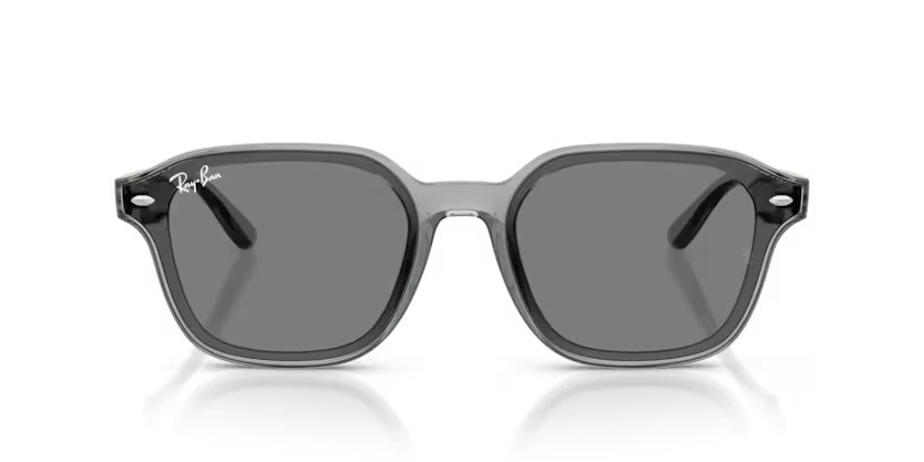 RAY-BANRAYBAN RB 4458D 645087 65 GRAY-BAN RB 4458D 645087 65 Unisex Güneş GözlüğüRAY-BAN RB 4458D 645087 65 Unisex Güneş Gözlüğü