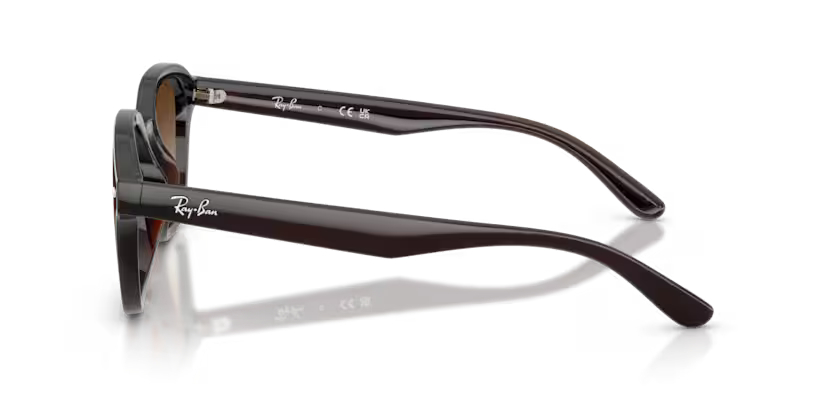RAY-BANRAYBAN RB 4458D 714/13 65 GRAY-BAN RB 4458D 714/13 65 Unisex Güneş GözlüğüRAY-BAN RB 4458D 714/13 65 Unisex Güneş Gözlüğü