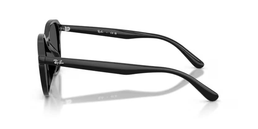 RAY-BANRAYBAN RB 4459D 901/87 54 GRAY-BAN RB 4459D 901/87 54 Unisex Güneş GözlüğüRAY-BAN RB 4459D 901/87 54 Unisex Güneş Gözlüğü