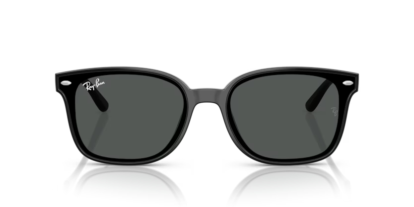 RAY-BANRAYBAN RB 4461D 601/87 64 GRAY-BAN RB 4461D 601/87 64 Unisex Güneş GözlüğüRAY-BAN RB 4461D 601/87 64 Unisex Güneş Gözlüğü
