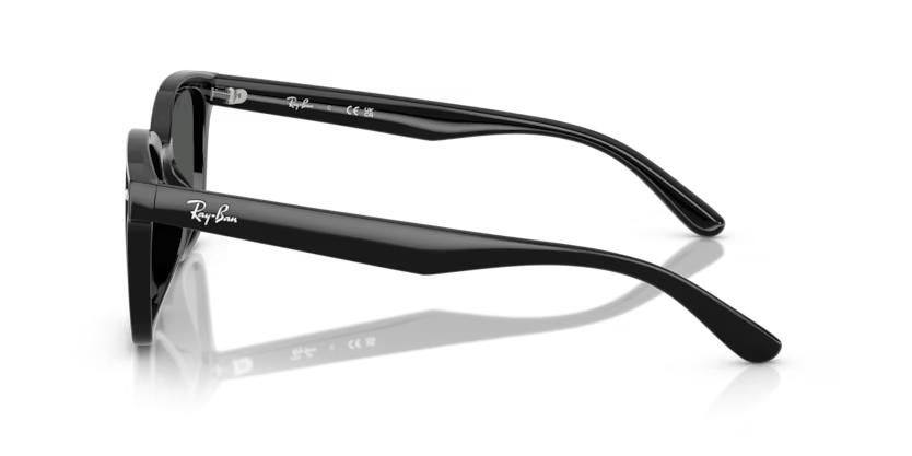 RAY-BANRAYBAN RB 4461D 601/87 64 GRAY-BAN RB 4461D 601/87 64 Unisex Güneş GözlüğüRAY-BAN RB 4461D 601/87 64 Unisex Güneş Gözlüğü