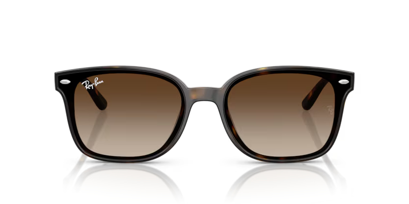 RAY-BANRAYBAN RB 4461D 710/13 64 GRAY-BAN RB 4461D 710/13 64 Unisex Güneş GözlüğüRAY-BAN RB 4461D 710/13 64 Unisex Güneş Gözlüğü