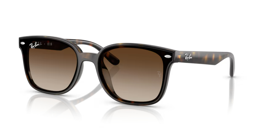 RAY-BANRAYBAN RB 4461D 710/13 64 GRAY-BAN RB 4461D 710/13 64 Unisex Güneş GözlüğüRAY-BAN RB 4461D 710/13 64 Unisex Güneş Gözlüğü