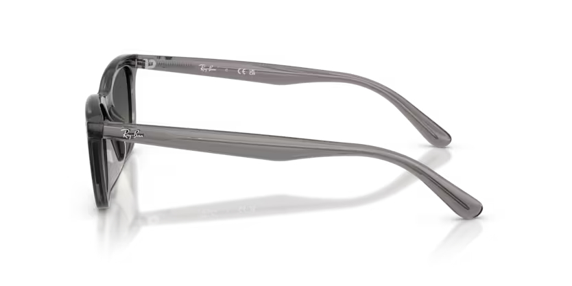 RAY-BANRAYBAN RB 4474D 667511 54 GRAY-BAN RB 4474D 667511 54 Kadın Güneş GözlüğüRAY-BAN RB 4474D 667511 54 Kadın Güneş Gözlüğü