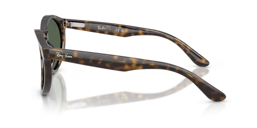 RAY-BANRAYBAN RB R0505S 6790VR 52 GRAY-BAN RB R0505S 6790VR 52 Unisex Güneş GözlüğüRAY-BAN RB R0505S 6790VR 52 Unisex Güneş Gözlüğü