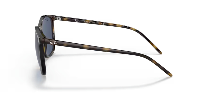 RAY-BANRAYBAN RB4387 710/80 56 GRAY-BAN RB4387 710/80 56 Unisex Güneş GözlüğüRAY-BAN RB4387 710/80 56 Unisex Güneş Gözlüğü