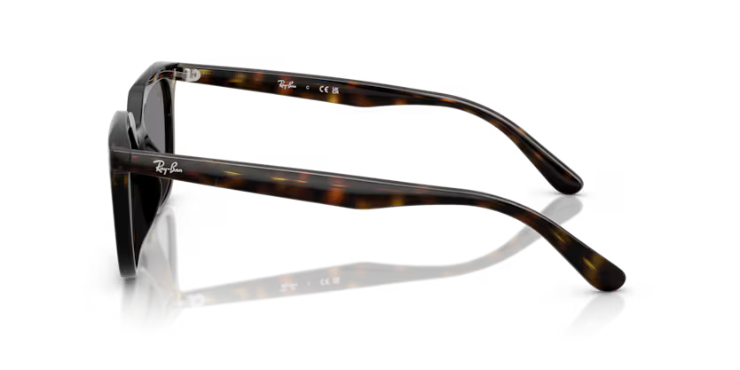 RAY-BANRB 4439D 710/87 54RAY-BAN 0RB4439D 710/87 54 Unisex Güneş GözlüğüRAY-BAN 0RB4439D 710/87 54 Unisex Güneş Gözlüğü
