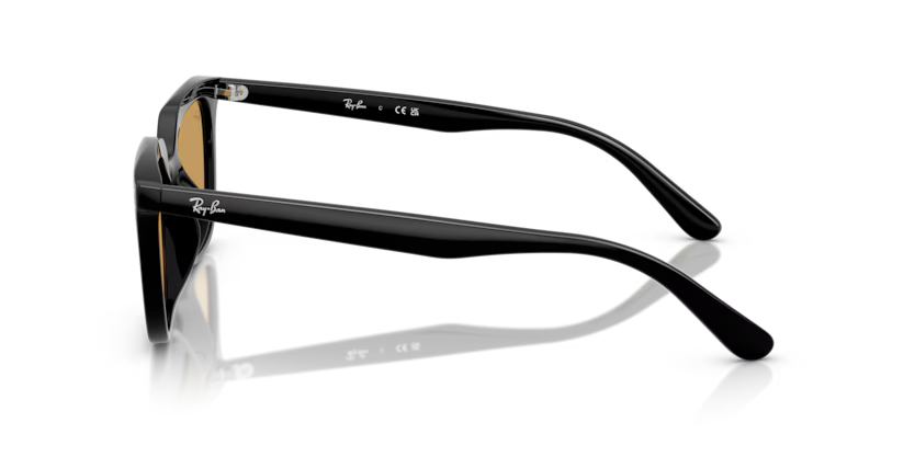 RAY-BANRB 4439D 901/73 54RAY-BAN 0RB4439D 901/73 54 Unisex Güneş GözlüğüRAY-BAN 0RB4439D 901/73 54 Unisex Güneş Gözlüğü