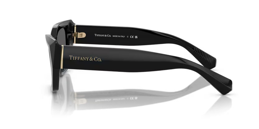 TIFFANY&COTF TF 4230 8001S4 54 GTIFFANY&CO. TF 4230 8001S4 54 Kadın Güneş GözlüğüTIFFANY&CO. TF 4230 8001S4 54 Kadın Güneş Gözlüğü