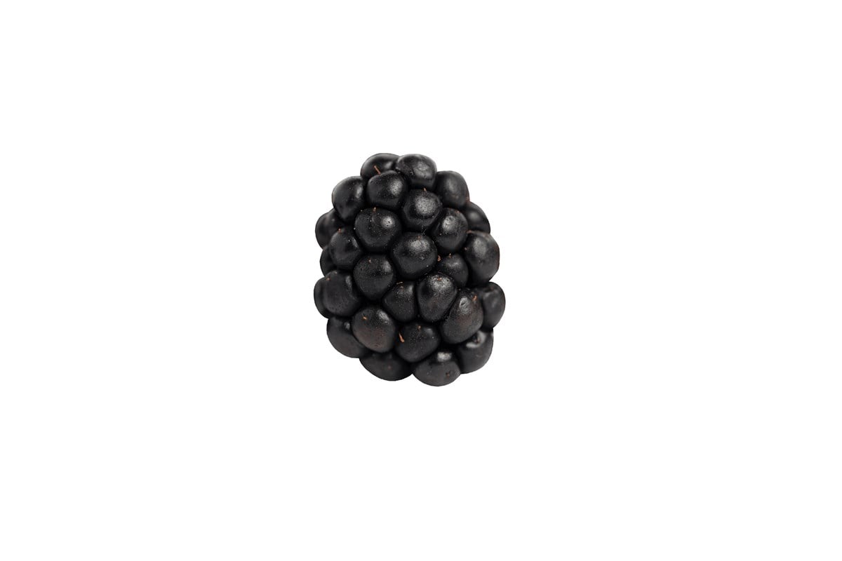 Freeze Dried Böğürtlen