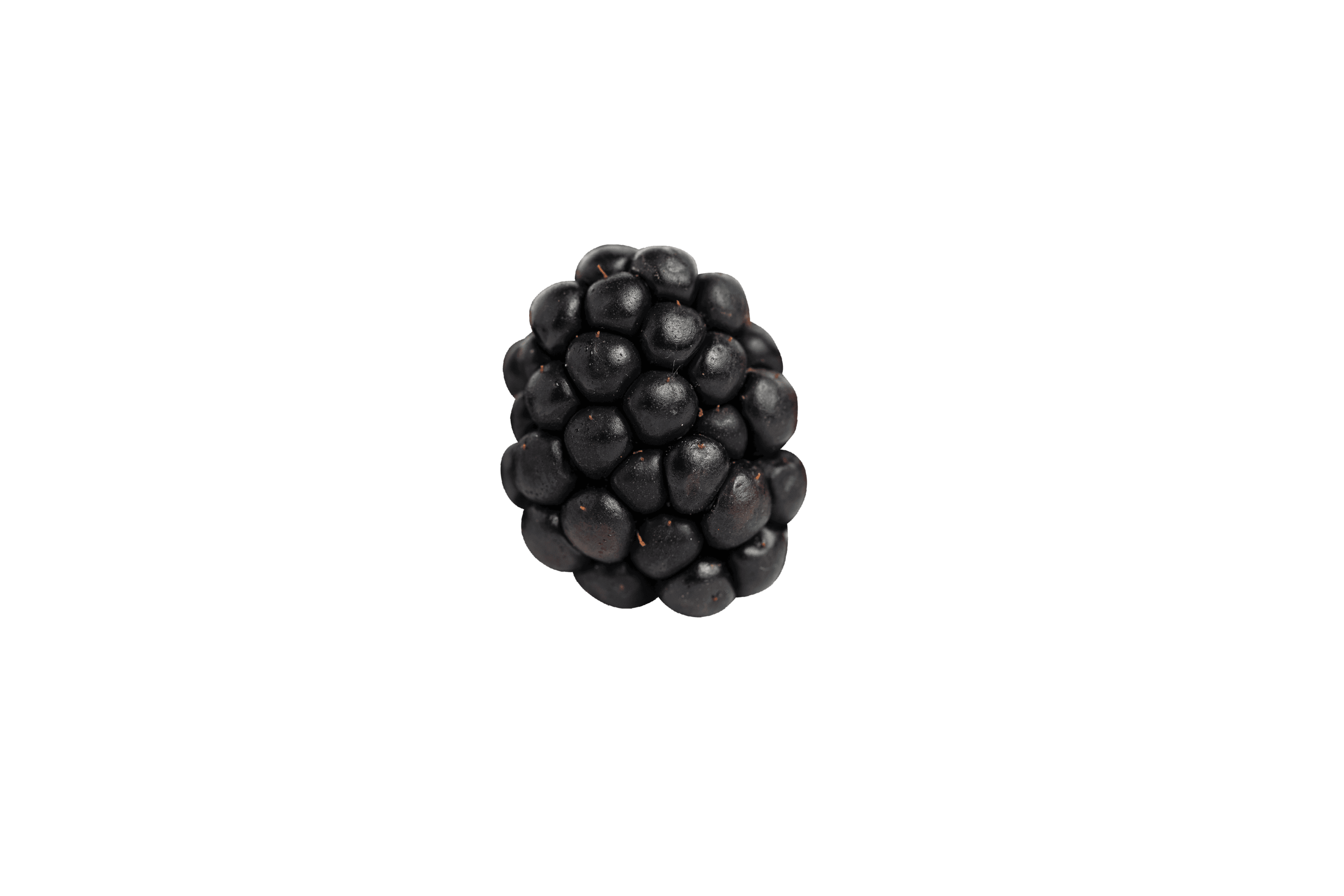 Freeze Dried Böğürtlen Tozu Büyük Boy - Dondurularak Kurutulmuş - 200 Gr.
