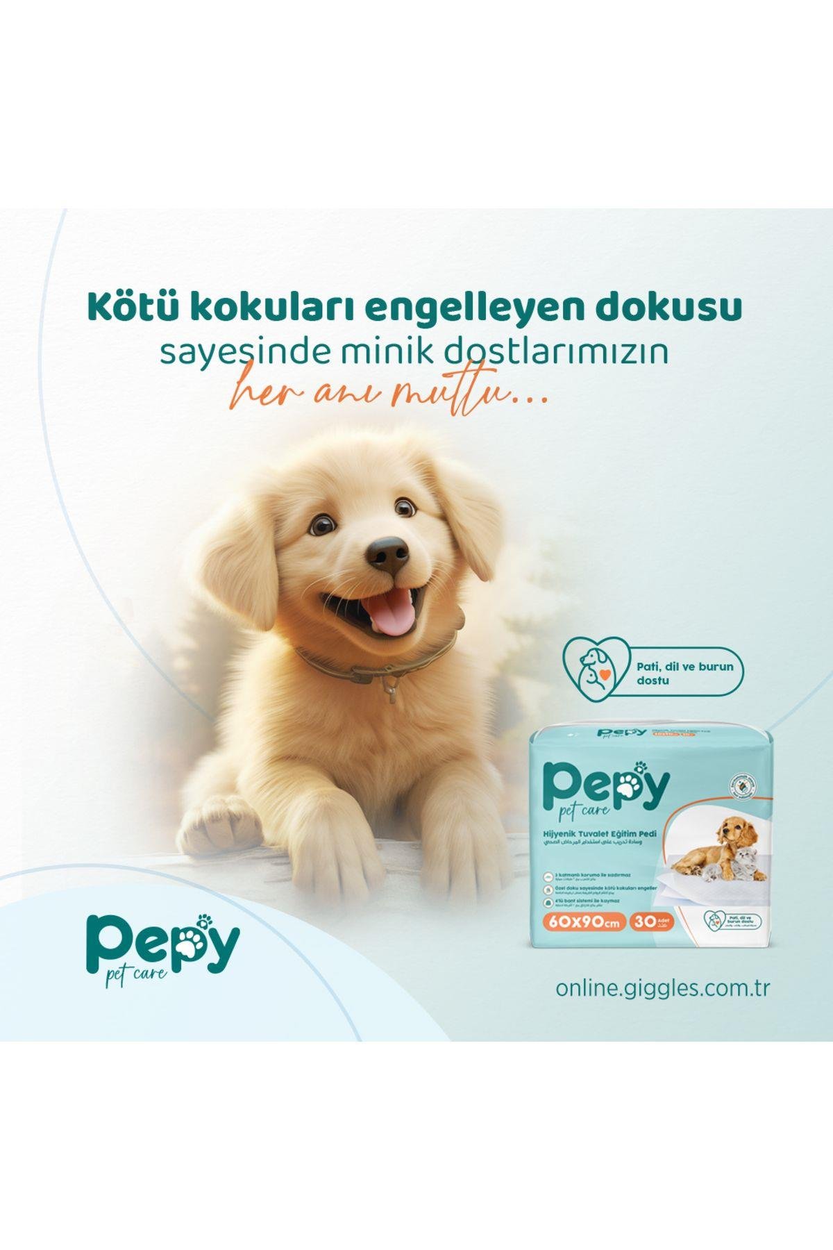 Hijyenik Yapışkanlı Tuvalet Eğitim Pedi Köpek / Kedi Çiş Pedi 30 Adet