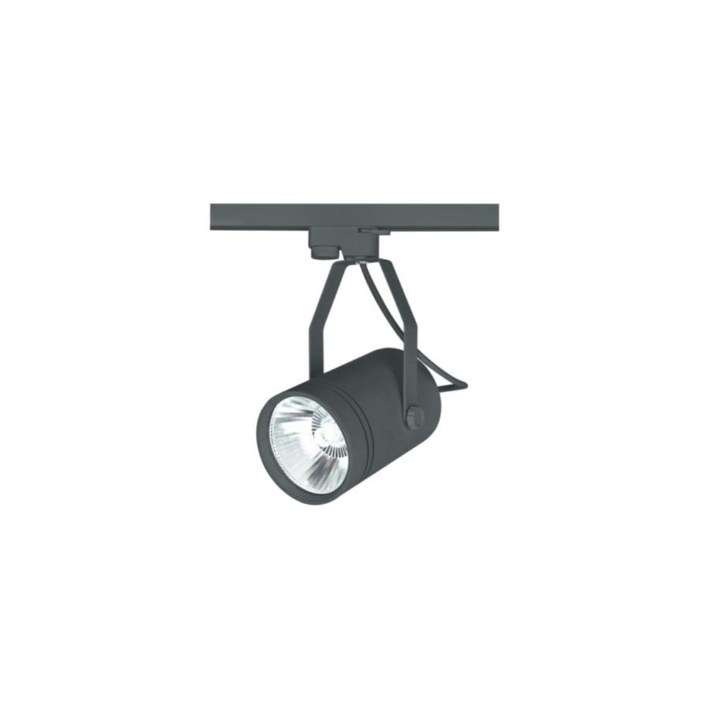 CT 5312 G Cata 20 W Kastra Cob Led Ray Tipi Spot GünışığıRay Spotlar ve RaylarCATACT-5312G-12554