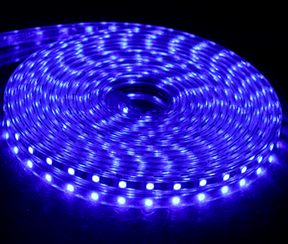 25 METRE CATA CT 4551 3 Çip Dış Mekan Hortum Şerit Led Mavi 220V10 METRE CATA CT 4551 3 Çip Dış Mekan Hortum Şerit Led Mavi 220VŞerit ve Hortum LedlerCATACT-4551M-25-18435