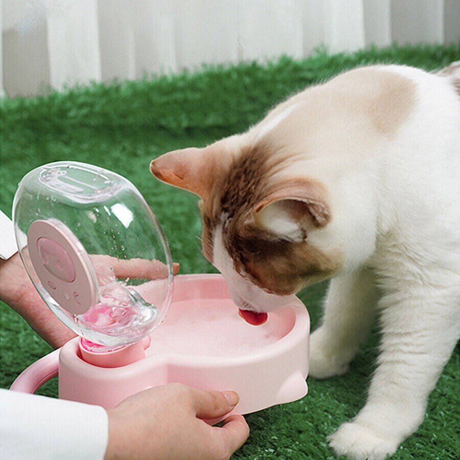 Aiwo Taşınabilir Kedi Köpek Seyahat Suluğu 400 Ml