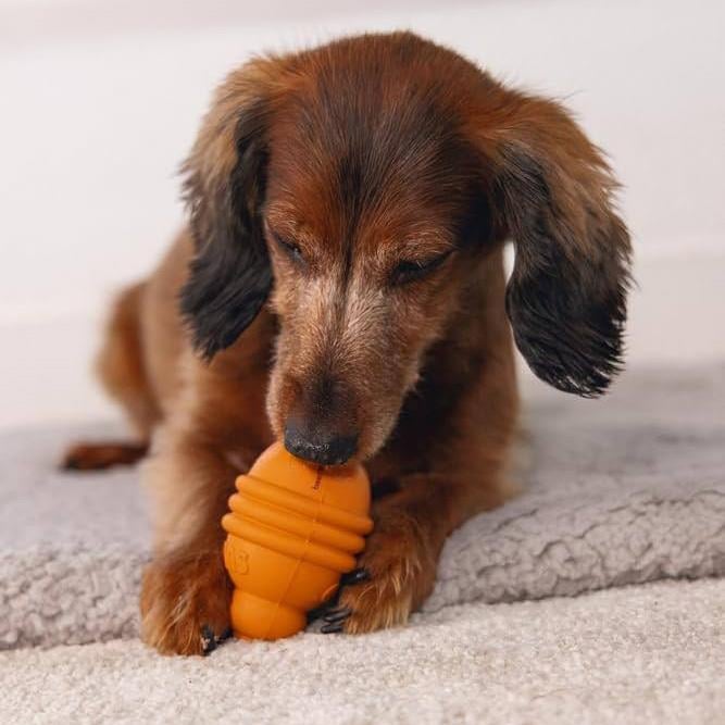 Beeztees Sumo Play Ödül Konulabilen Sert Kauçuk Köpek Oyuncağı S (Turuncu)