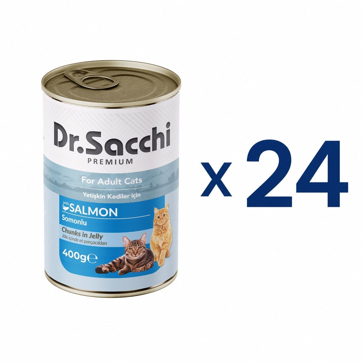 Dr. Sacchi Delicious Somonlu Yetişkin Kedi Konservesi 400 g (24 Adet)