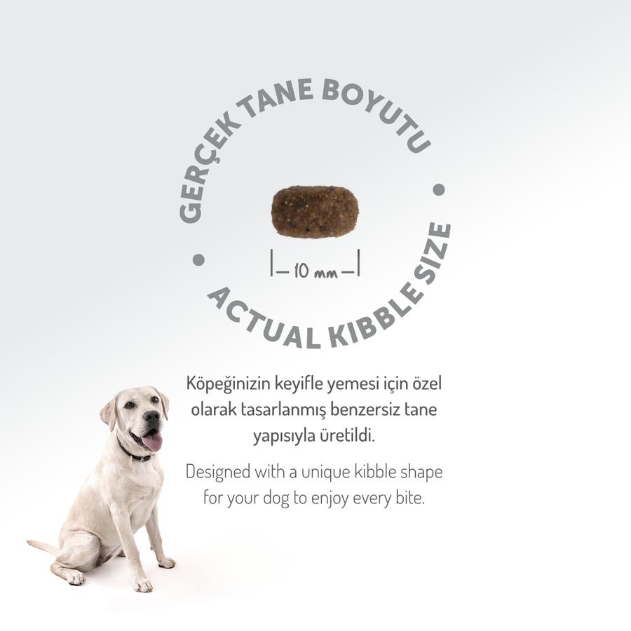 Felicia Kuzulu Small/Mini Az Tahıllı HypoAllergenic Yetişkin Köpek Maması  6 Kg