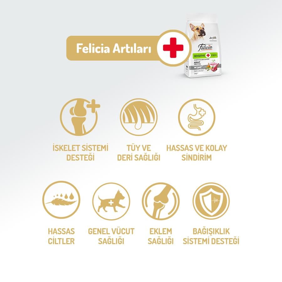 Felicia Kuzulu Small/Mini Az Tahıllı HypoAllergenic Yetişkin Köpek Maması  6 Kg