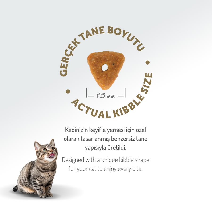Felicia Sterilised Somonlu Az Tahıllı HypoAllergenic Yetişkin Kedi Maması 12 Kg