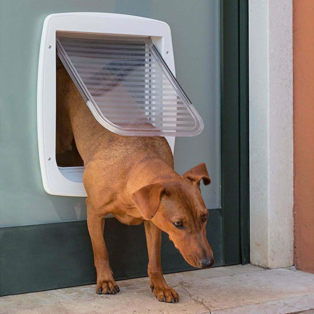 Ferplast Swing 11 T 4 Yollu Köpek Kapısı 31 x 38 cm (Beyaz)