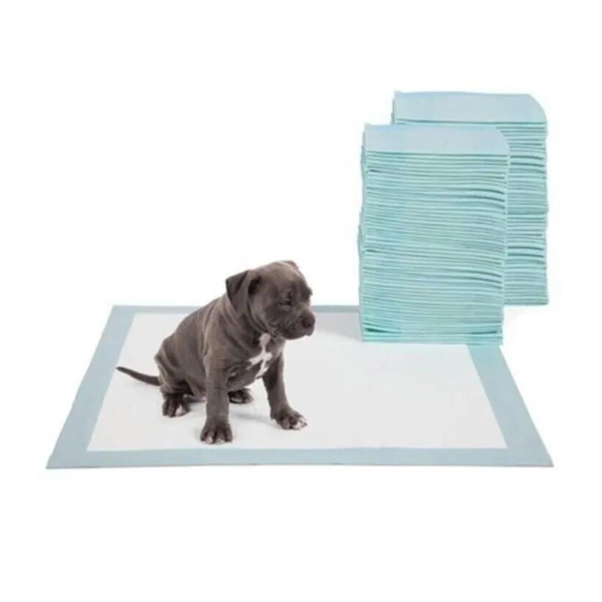 GimDog Köpek Çiş Pedi 20'Li - 60x60cm (2'li Avantaj Paket)