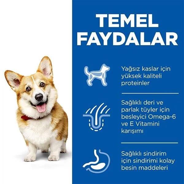 Hills Tavuklu Küçük Irk Yetişkin Köpek Maması 3 Kg