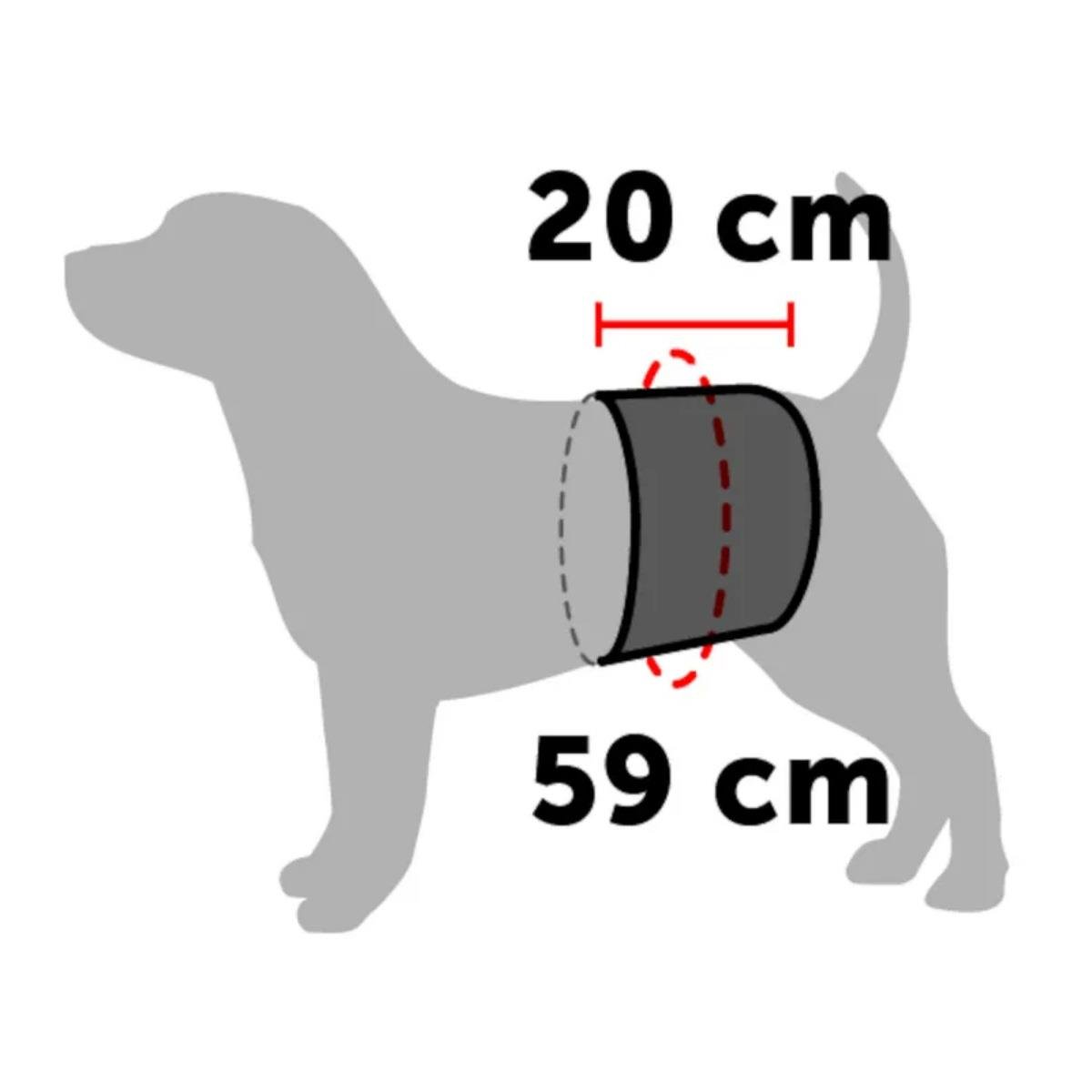 Karlie Erkek Köpek Yıkanabilir Çiş Külodu (M)