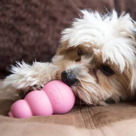 KONG Classic Ödül Konulabilen Köpek Oyuncağı Puppy