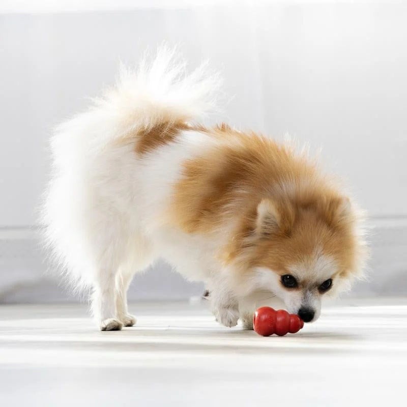 KONG Classic Small Ödül Konulabilen Köpek Oyuncağı S