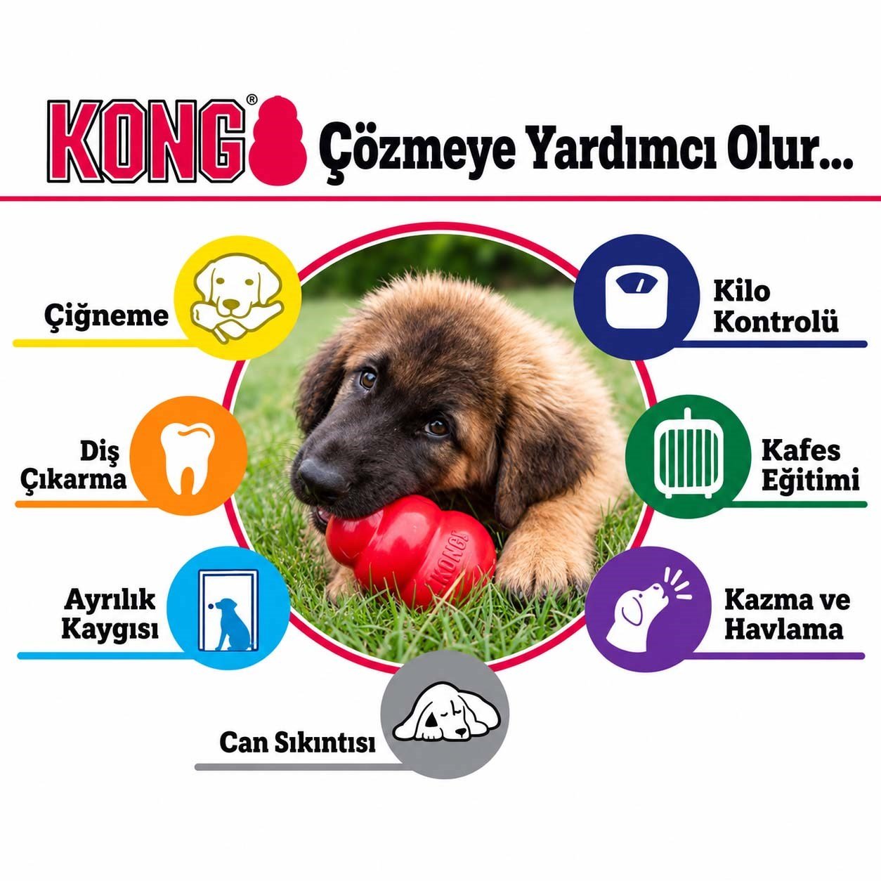 KONG Classic XX-Large Ödül Konulabilen Köpek Oyuncağı XXL