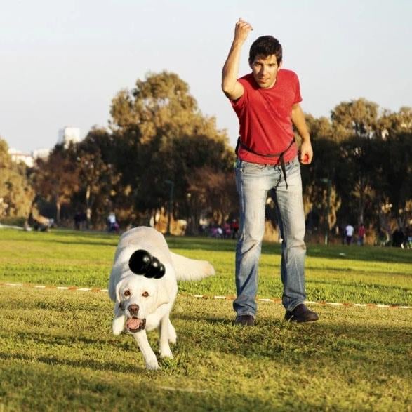Kong Extreme Ödül Konulabilen Sert Kauçuk Köpek Oyuncağı M