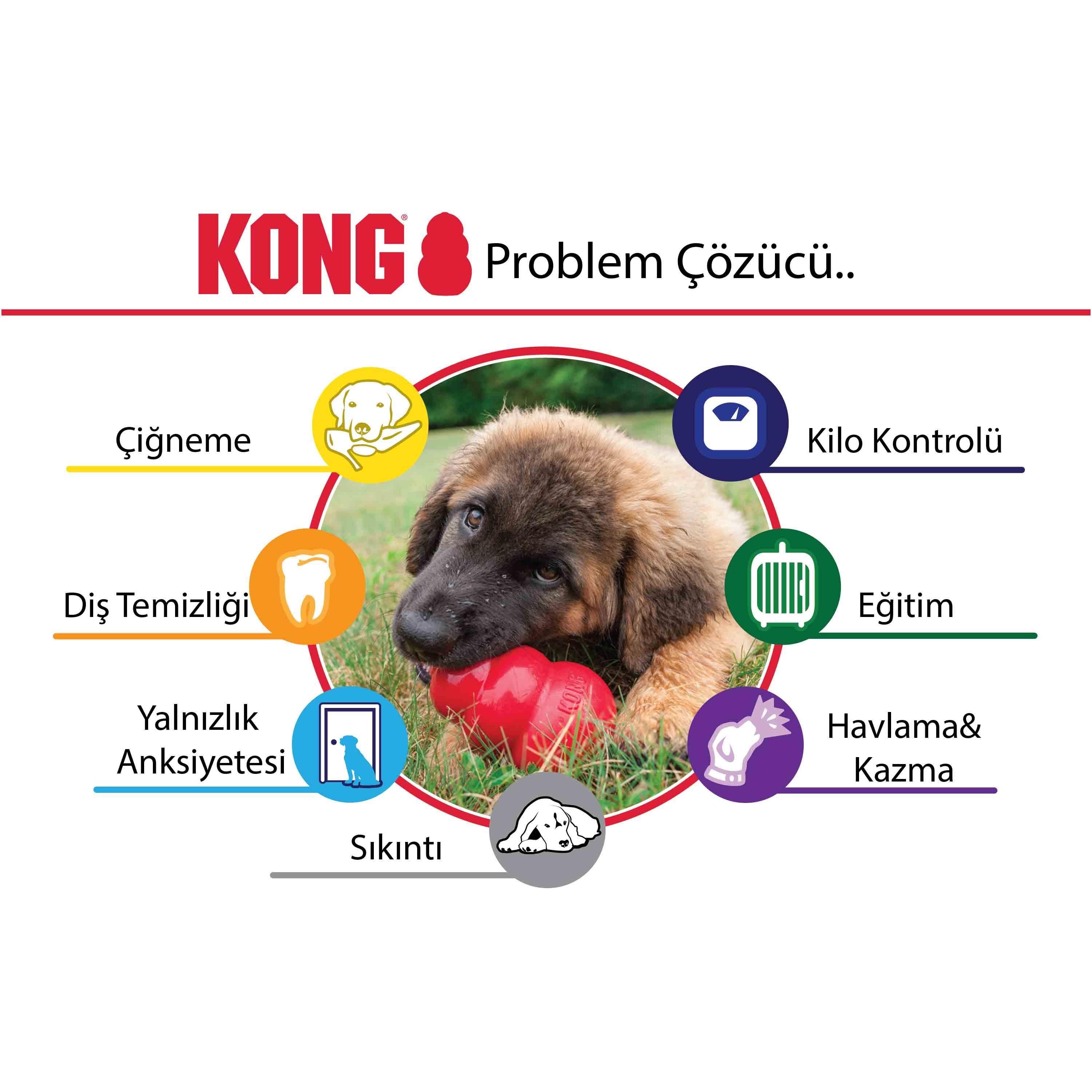 Kong Ödül Konulabilen Sert Kauçuk Köpek Oyuncağı XS (Pembe)