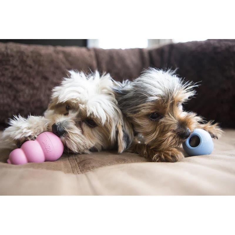 Kong Ödül Konulabilen Sert Kauçuk Köpek Oyuncağı XS (Pembe)