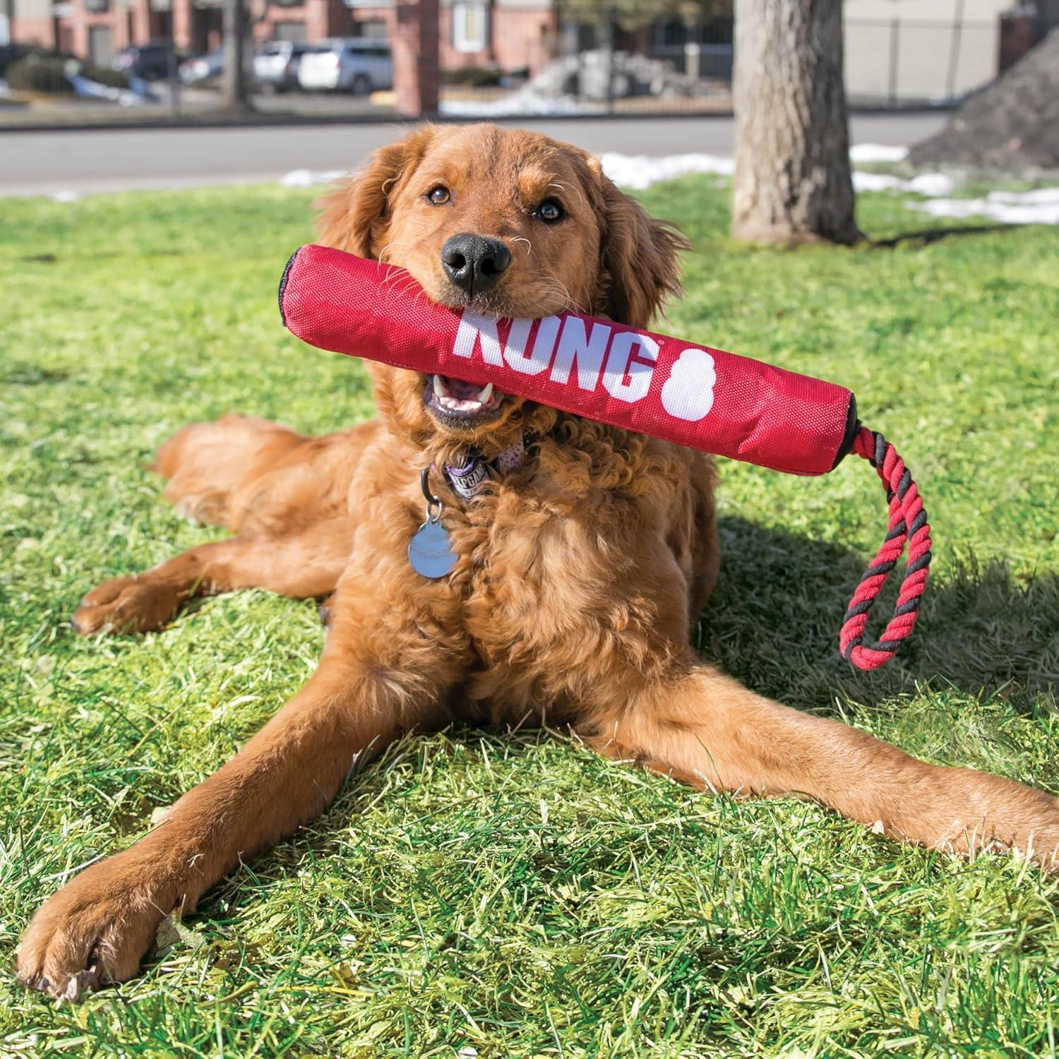 Kong Signature Stick Diş İpli Yastık Köpek Oyuncağı M