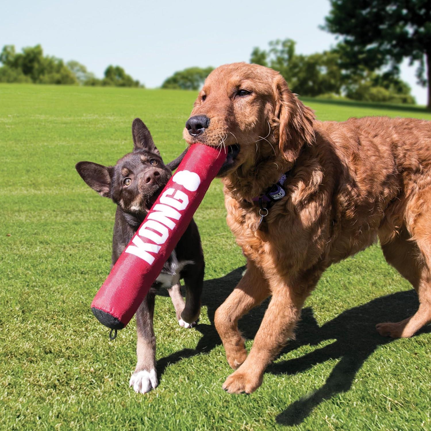 Kong Signature Stick Diş İpli Yastık Köpek Oyuncağı M