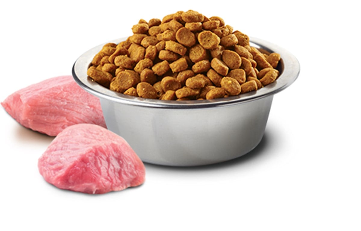 N&D Kuzulu Yaban Mersinli Tahılsız Mini Yetişkin Köpek Maması 2.5 Kg