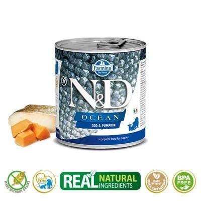 N&D Ocean Balkabaklı Ve Morina Balıklı Tahılsız Yetişkin Köpek Konservesi 285 gr