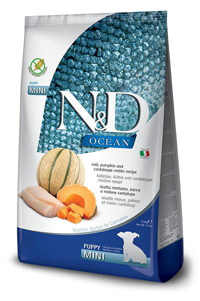 N&D Ocean Morina Balıklı Bal Kabaklı Karidesli ve Kavunlu Tahılsız Yavru Kedi Maması 2,5 kg