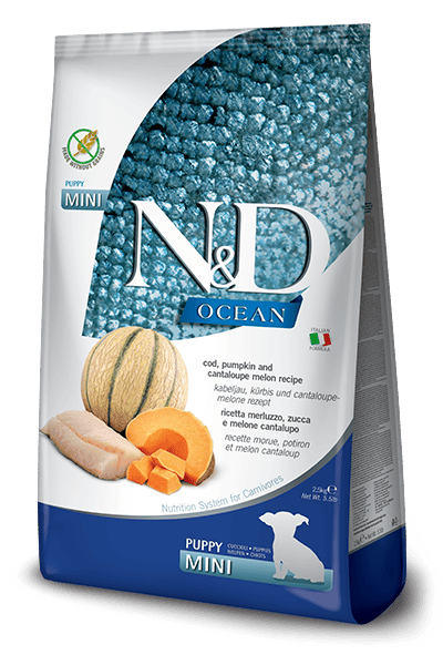 N&D Ocean Morina Balıklı Bal Kabaklı Karidesli ve Kavunlu Tahılsız Yavru Köpek Maması 2,5 kg