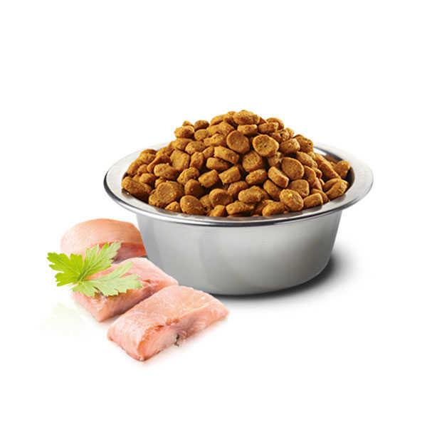 N&D Ocean Ringa Balıklı ve Portakallı Tahılsız Yetişkin Kedi Maması 10kg
