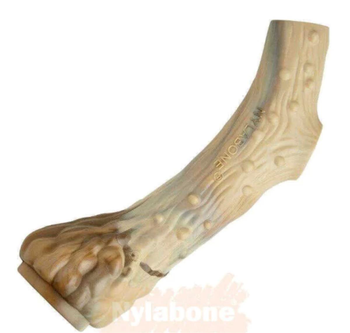 Nylabone Geyik Eti Aromalı Kauçuk Sert Boynuz Köpek Oyuncağı 18 cm (L)