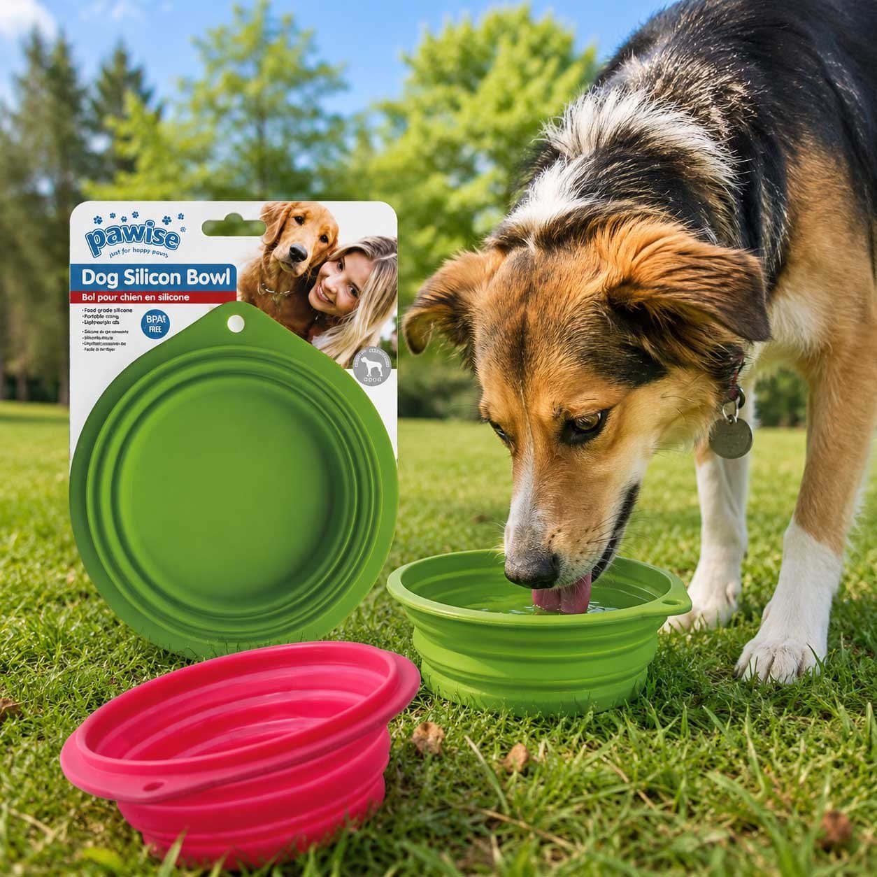 Pawise Katlanabilir Portatif Kedi Ve Köpek Mama Kabı 1000 Ml (Karışık Renk)