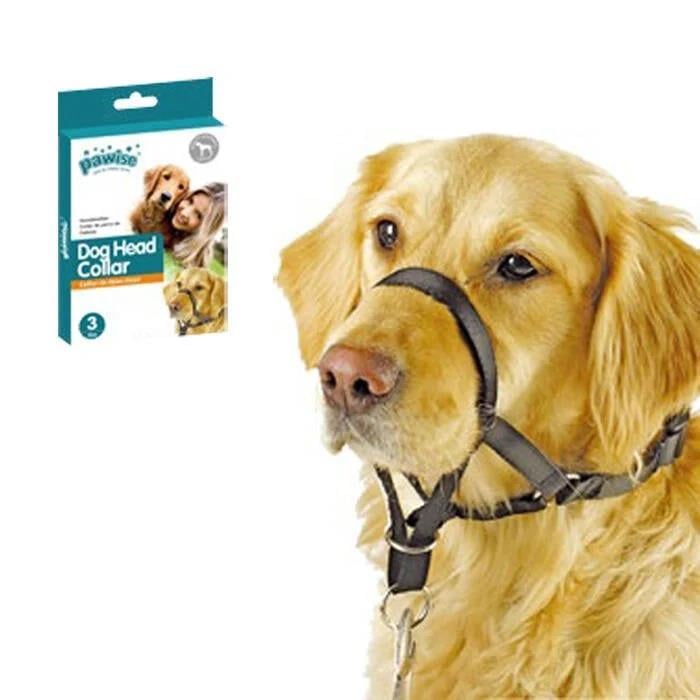 Pawise Kontrol Köpek Ağızlığı  NO:1